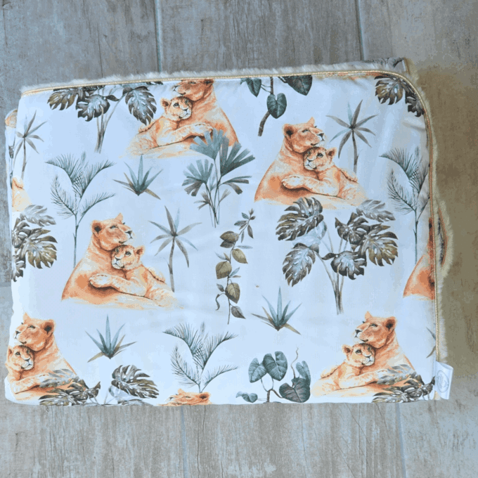 Couverture lionceaux