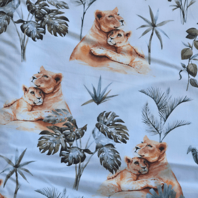 Couverture lionceaux