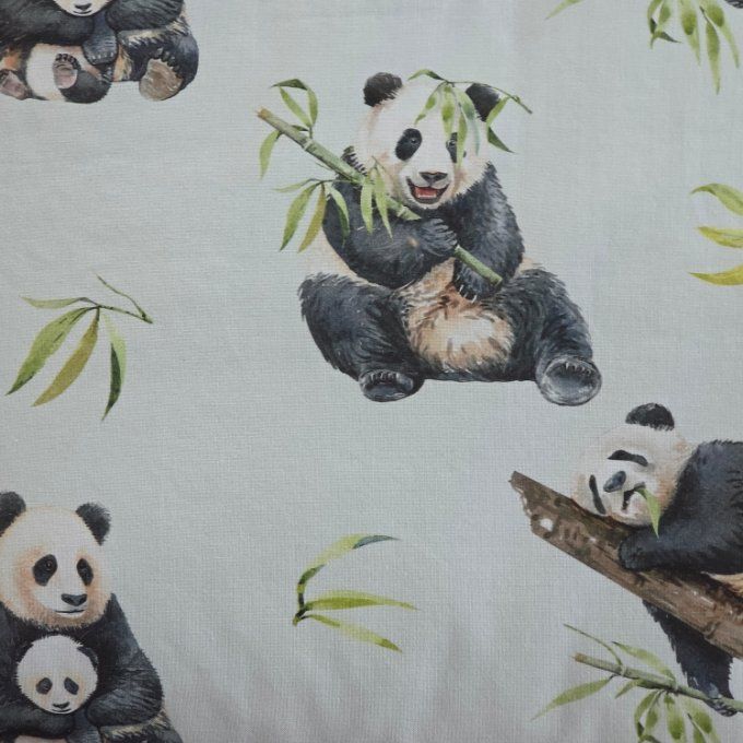 Couverture panda