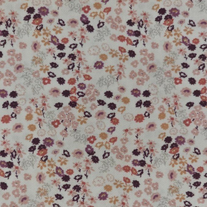 Banane bicolore prunette